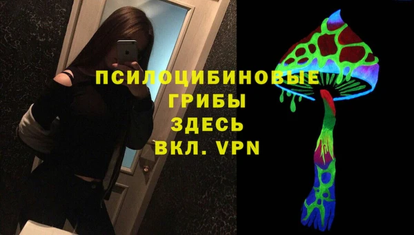 apvp Алзамай