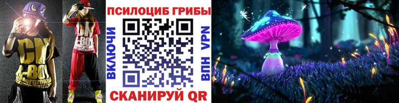 Псилоцибиновые грибы Psilocybine cubensis  OMG как зайти  Алексин 